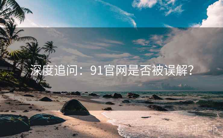 深度追问：91官网是否被误解？