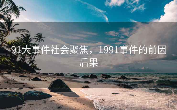 91大事件社会聚焦，1991事件的前因后果