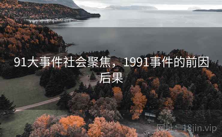 91大事件社会聚焦，1991事件的前因后果