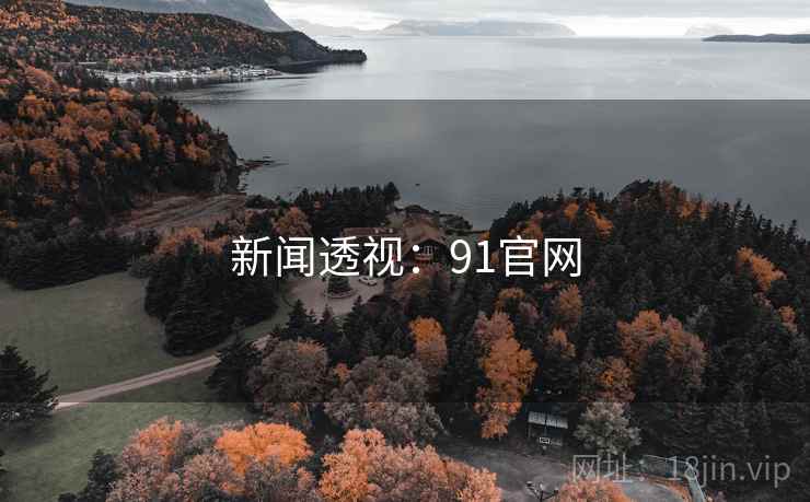 新闻透视：91官网