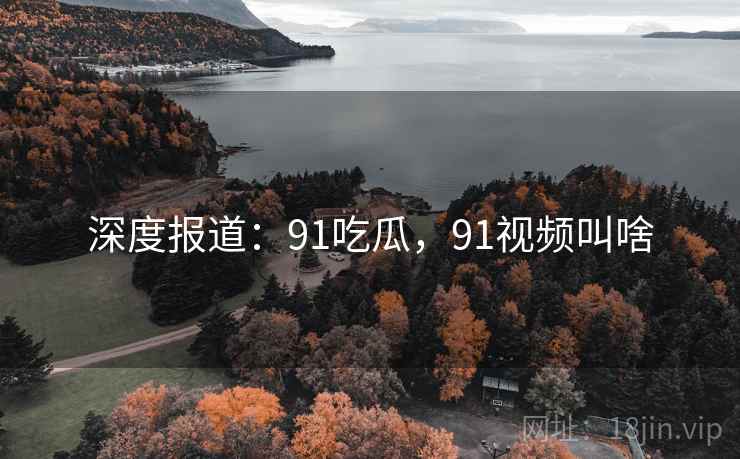 深度报道：91吃瓜，91视频叫啥