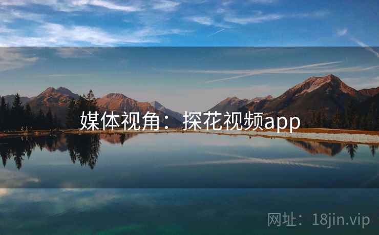 媒体视角：探花视频app